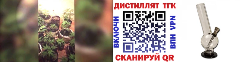 где купить наркотик  Арск  ТГК вейп 